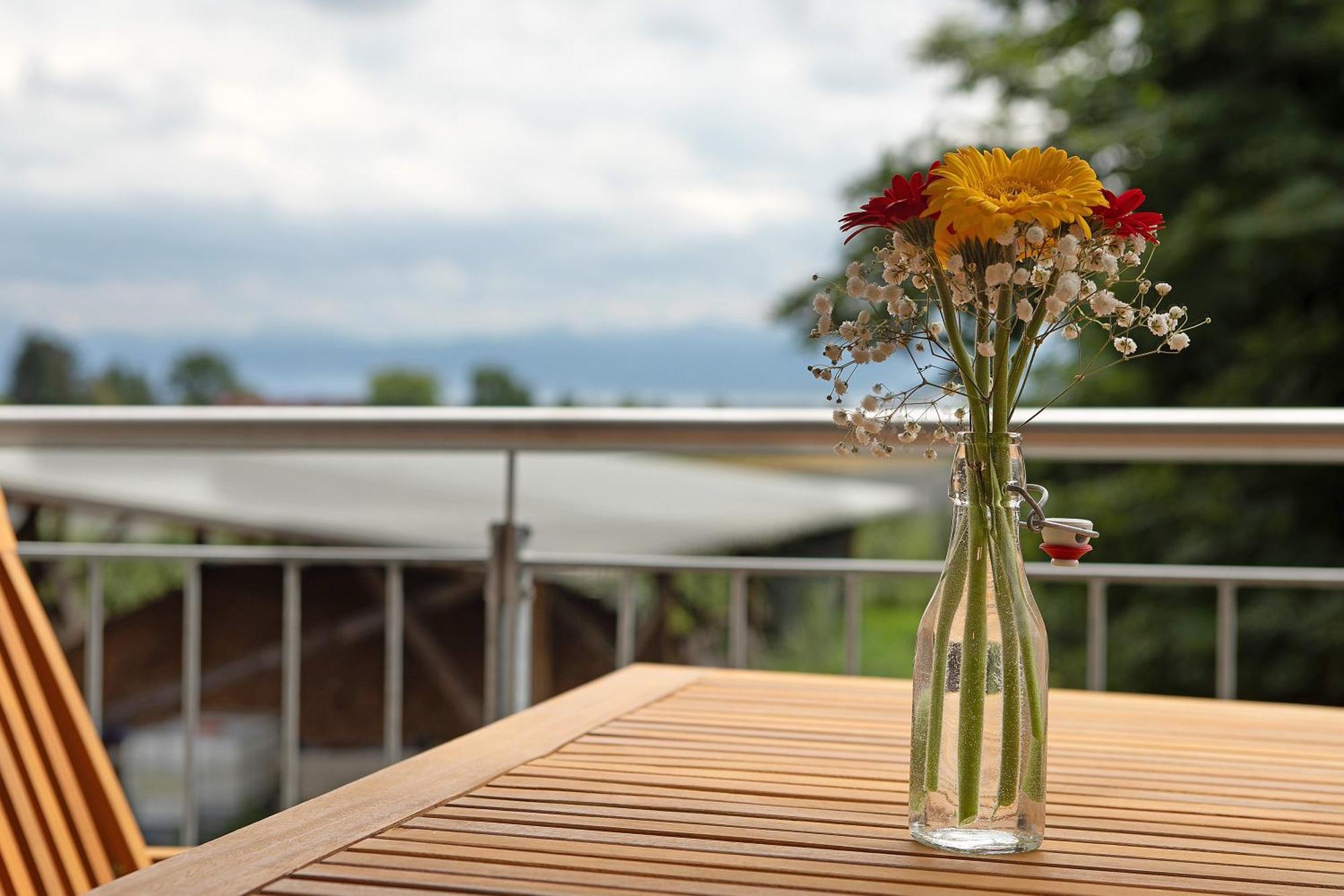Waldruhe Hof Schuetterle Apartment ฟรีดริชส์ฮาเฟน ภายนอก รูปภาพ
